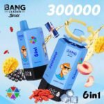 Bang Leader Stoll 300K Puffs 6-in-1 Eu Warehouse