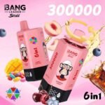 Bang Leader Stoll 300K Puffs 6-in-1 Eu Warehouse