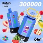 Bang Leader Stoll 300K Puffs 6-in-1 Eu Warehouse