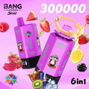 Bang Leader Stoll 300K Puffs 6-in-1 Eu Warehouse