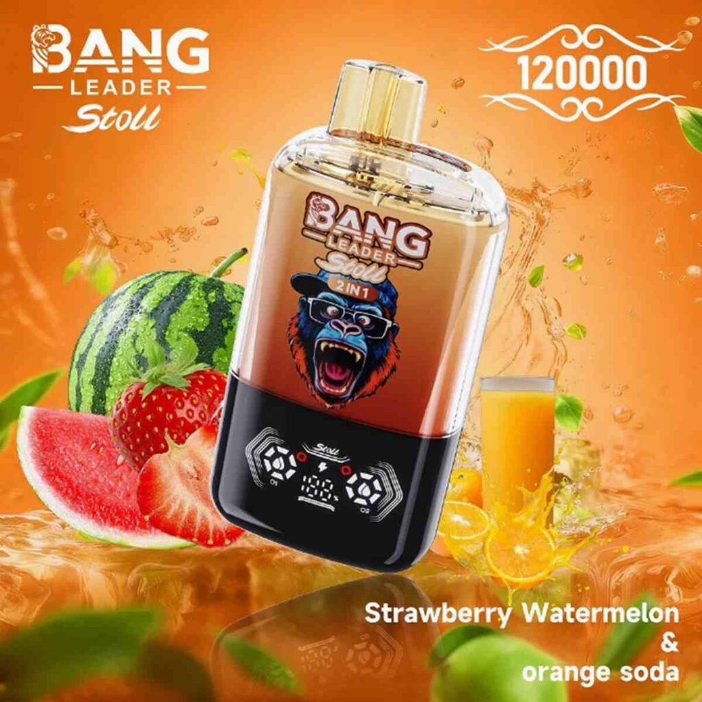 Bang Leader Stoll 120K Puffs 2-in-1 Eu Warehouse