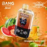 Bang Leader Stoll 120K Puffs 2-in-1 Eu Warehouse