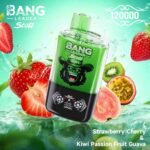 Bang Leader Stoll 120K Puffs 2-in-1 Eu Warehouse