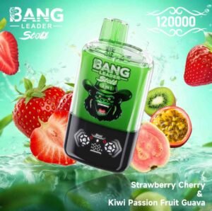 Bang Leader Stoll 120K Puffs 2-in-1 Eu Warehouse