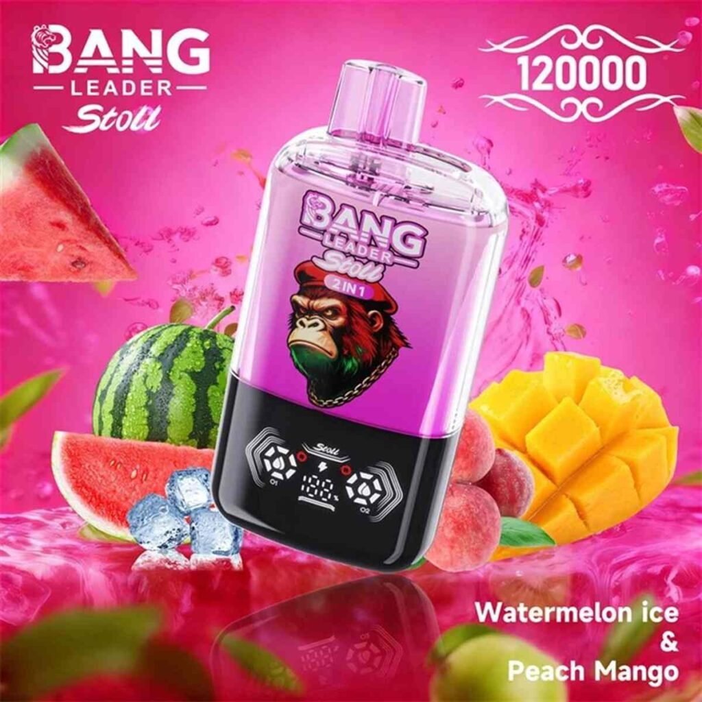 Bang Leader Stoll 120K Puffs 2-in-1 Eu Warehouse