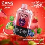 Bang Leader Stoll 120K Puffs 2-in-1 Eu Warehouse
