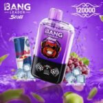 Bang Leader Stoll 120K Puffs 2-in-1 Eu Warehouse