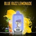 Fumot Randm Digital Box 12K Puffs Eu Warehouse