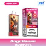 JNR Falcon Pro 28000 Puff EU Warehouse