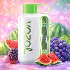 Eu Warehouse Vozol Star 40000 Puffs Disposable Vapes
