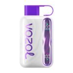 Eu Warehouse Vozol Star 40000 Puffs Disposable Vapes