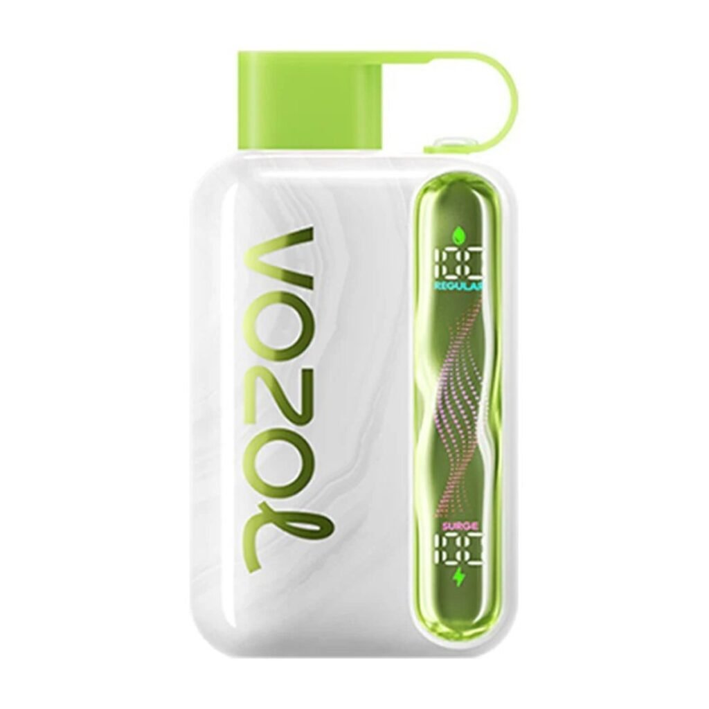 Eu Warehouse Vozol Star 40000 Puffs Disposable Vapes