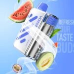 EU Warehouse Vozol Vista 40K Puffs Disposable Vape