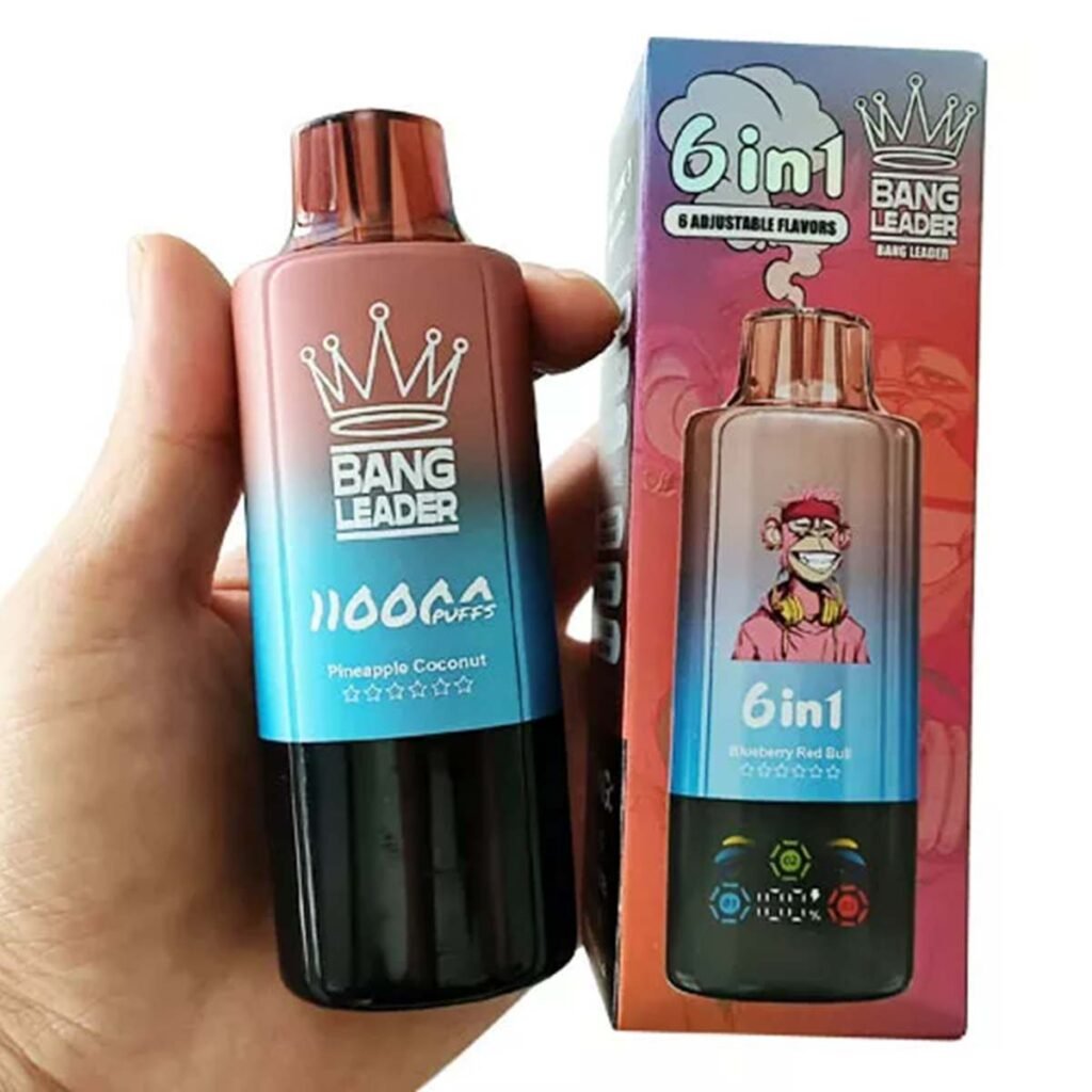 Bang Leader 110K Puffs 6-in-1 Eu Warehouse