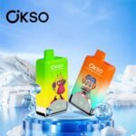 Okso 2in1 Flavors 60K Puffs Disposable Vape EU Warehouse