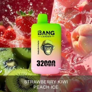 Bang Leader 32K Puffs 2-in-1 Eu Warehouse