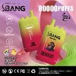 Bang Leader 80K Puffs 3-in-1 Eu Warehouse