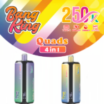 Bang King 250K Puffs 4-In-1 Eu Warehouse