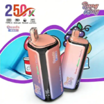 Bang King 250K Puffs 4-In-1 Eu Warehouse