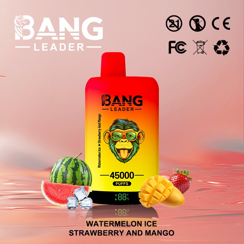 Bang Leader 45K Puffs 2-in-1 Eu Warehouse