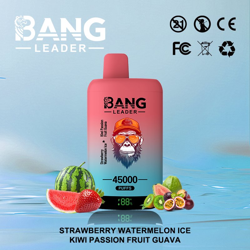 Bang Leader 45K Puffs 2-in-1 Eu Warehouse