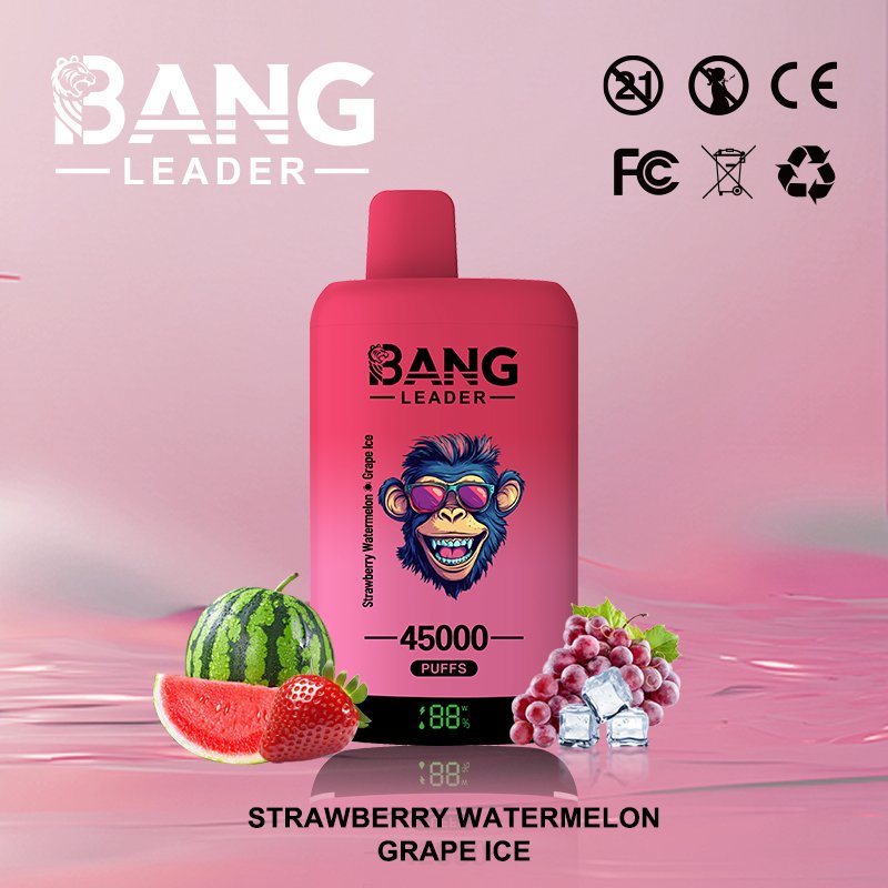 Bang Leader 45K Puffs 2-in-1 Eu Warehouse