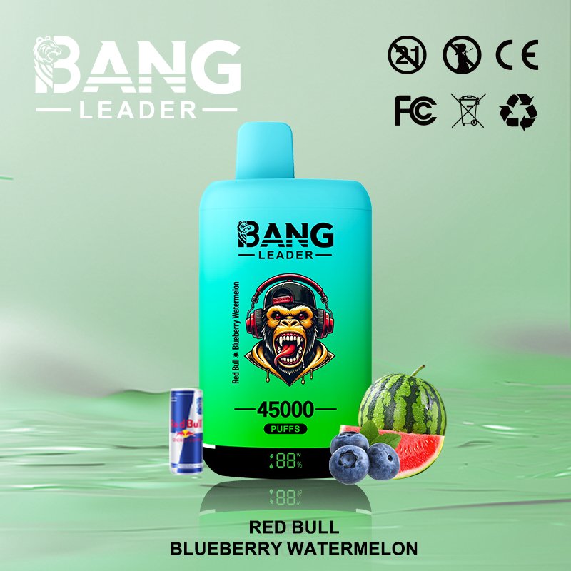 Bang Leader 45K Puffs 2-in-1 Eu Warehouse