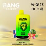 Bang Leader 45K Puffs 2-in-1 Eu Warehouse