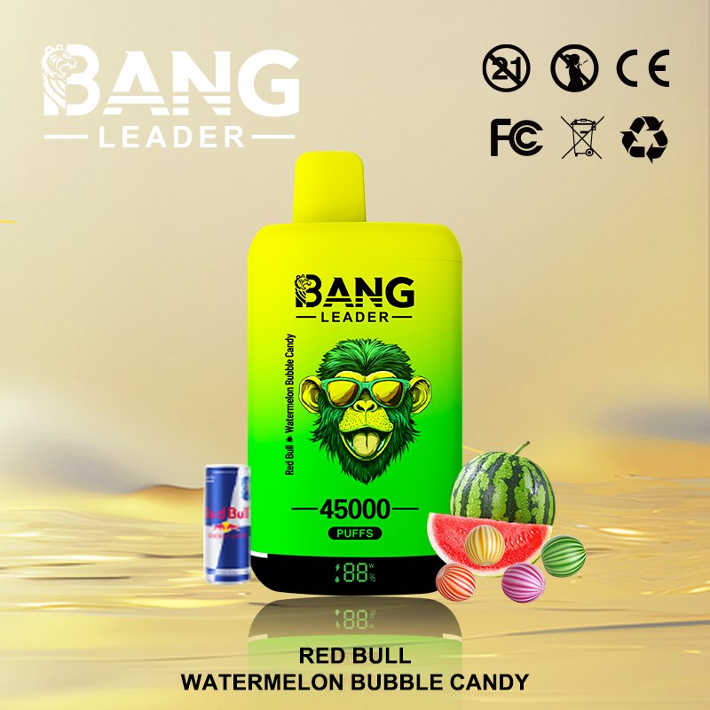 Bang Leader 45K Puffs 2-in-1 Eu Warehouse