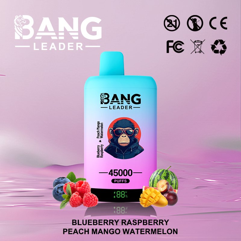 Bang Leader 45K Puffs 2-in-1 Eu Warehouse