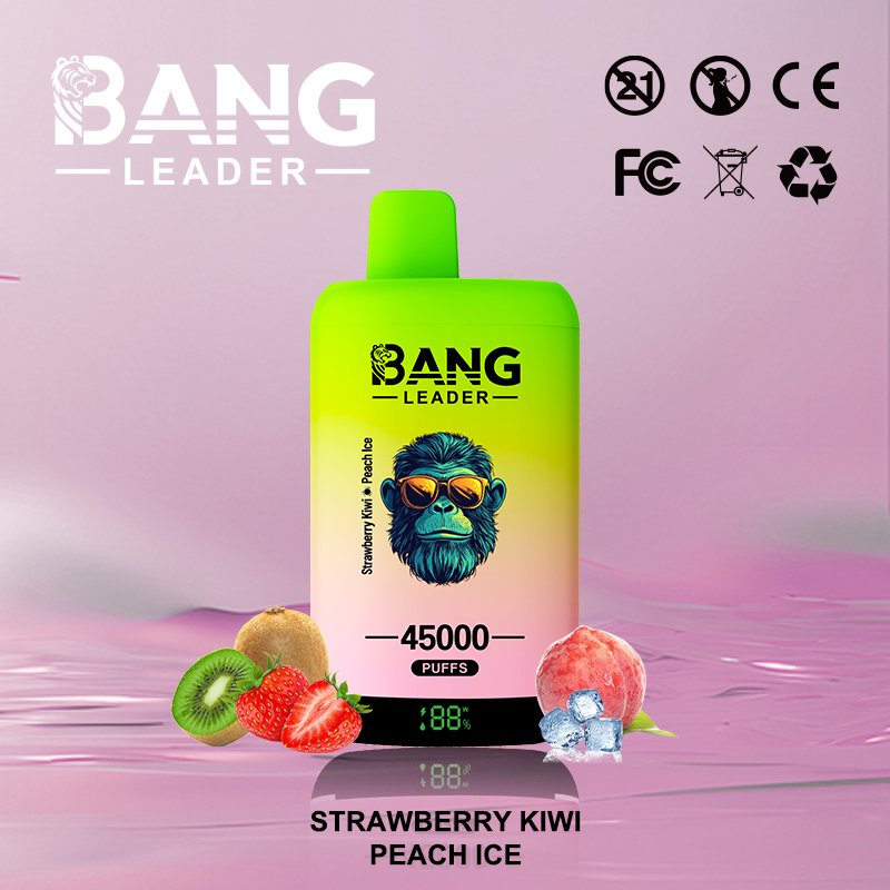 Bang Leader 45K Puffs 2-in-1 Eu Warehouse
