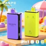 2in1 Flavor Waspe 100K Pro Puffs Disposable Vape EU Warehouse