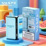 2in1 Flavor Waspe 100K Pro Puffs Disposable Vape EU Warehouse