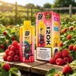 EU Warehouse 6in1 Flavor Zooy 120K Puffs Disposable Vape