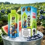 EU Warehouse 6in1 Flavor Zooy 120K Puffs Disposable Vape