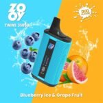 EU Warehouse Zooy Twins 35000 Puffs Disposable Vape