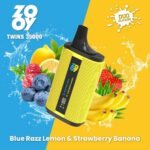 EU Warehouse Zooy Twins 35000 Puffs Disposable Vape