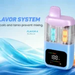 Why Dual Mesh Coils Make the Best Disposable Vapes?