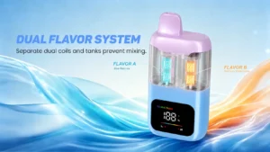 Why Dual Mesh Coils Make the Best Disposable Vapes?